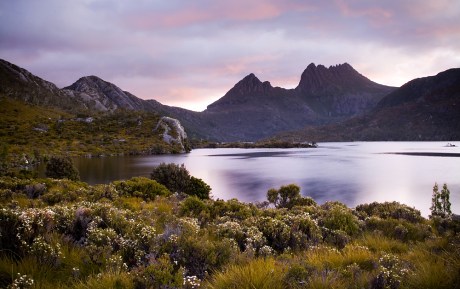 Tasmánie - Cradle Mountain NP