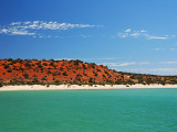 Za žraloky do Shark Bay